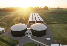 Motores Scania a biogás, para generación eléctrica en Argentina