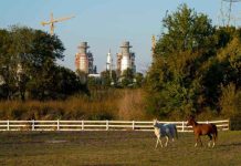 BKV-BPP Power adquiere la planta de energía Temple II de Siemens