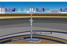 Colaboración para la captura de carbono